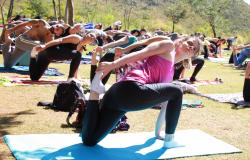 Mais de dez pessoas fazem pose de Ioga em gramado de parque durante o dia.