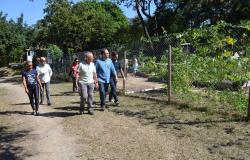 Algumas pessoas caminhando em uma horta.