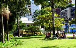 Cinco pessoas sentadas à beira da palmeira em parque no Buritis, local com muito verde e outras árvores.