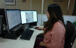 A servidora Thaísa Santos Faria está usando computador, com dois monitores. Nos dois, mapas estão abertos.