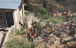 Dois agentes realizam limpeza de escadaria ao lado de morro da Vila Cemig.