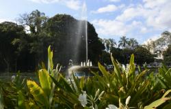 Detalhe de fonte de água detrás de folhagem no Parque Municipal Américo Renneé Giannetti durante o dia. 