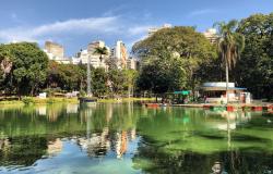 Lago do Parque Municipal Américo Renneé Giannetti, ao fundo, prédios da cidade. 