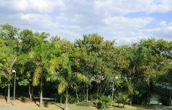 Muitas árvores do parque Primeiro de Maio; à direita, uma passarela durante do dia