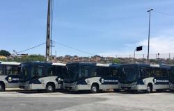 Mais de quatro ônibus da nova frota enfileirados no pátio. 
