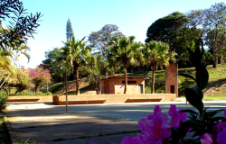 Muitas árvores e flores do Parque Professor Guilherme Lage.