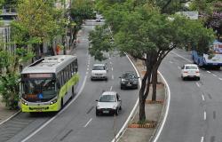 avenida com circulação de carros e pista exclusiva para ônibus, durante o dia. 