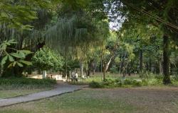 Parque Municipal Américo Renneé Giannetti, com muito verde. Ao fundo, homem sentado em banco e lago. 