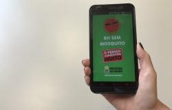 Mão segura celular com aplicativo "BH sem mosquito" aberto.
