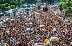 Mais de trezentos foliões lotal avenida com árvores e banheiros químicos nas laterais.